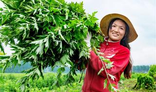 湖北省黄冈市蕲春县 湖北省黄冈市蕲春县